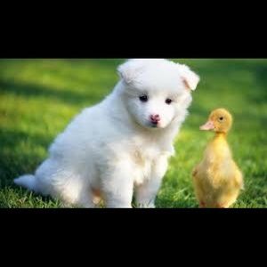 Meet your Posher, Mariam